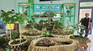 تحول كبير اقتصاديات زراعية مستدامة تستحوذ على 70% من الإنتاج